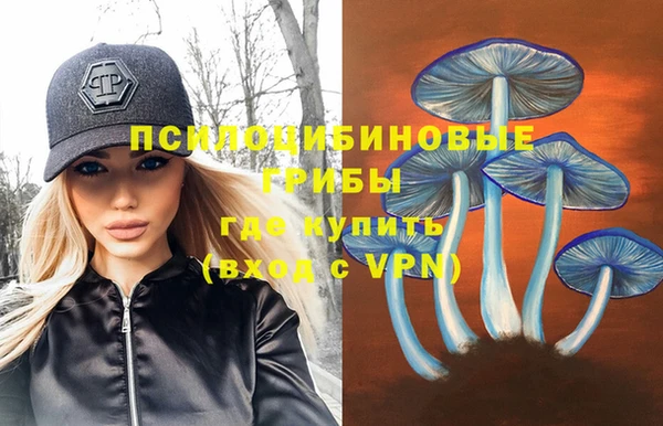дурь Балахна
