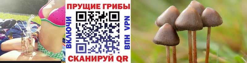 Галлюциногенные грибы Cubensis  Рудня 