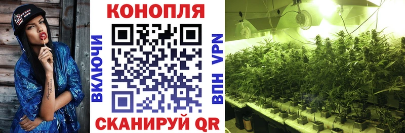 что такое наркотик Рудня гидра маркетплейс Каннабис план
